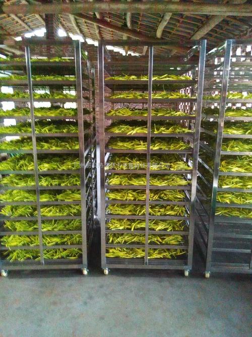 黃花菜烘干機、黃花菜烘干設備、黃花菜干燥機、黃花菜干燥設備、